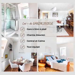 GANZALIESELE - Colmar - 9