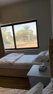 مزرعة كين با القاعد - 3