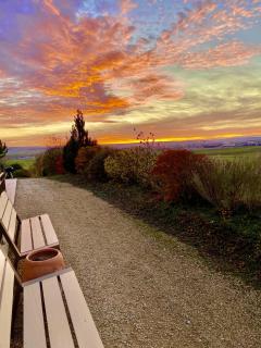 La Villa Mellifera - Cernay-lès-Reims - 1