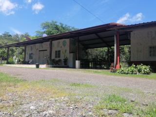 Hostal Tortuga Surf - 7