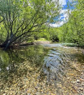 Cabañas san francisco - 3