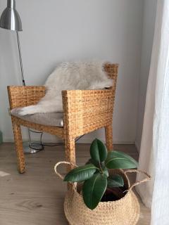 Appartamento Ginepro - 8