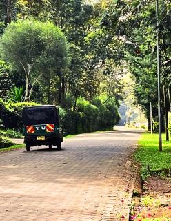 Karen Fresh & Flourishing 1-Bed Garden Paradise - 9