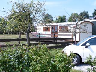 Boerderij Honswijck - Weesp - 2