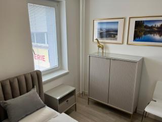 Apartmán Adele Nové Město Na Moravě - 5