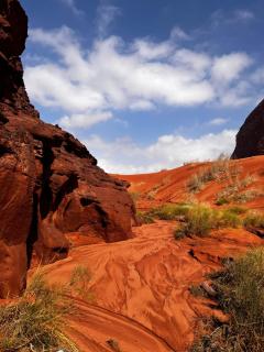 Rum Stars Resort & Tours - 5