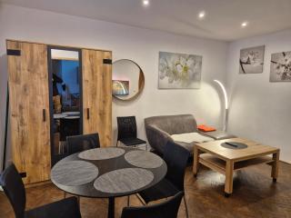 Apartmán 2-1 Orlické hory - 9