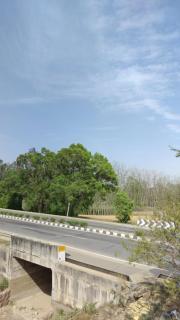 Shri Ji Guest Rooms - 0