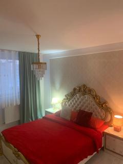 Cornișe apartament central 2 camere și living - 9