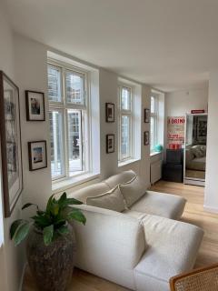 Beautiful apartment in the center of Copenhagen - 3