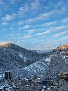 Woodland Borjomi - 0