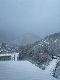 Woodland Borjomi - 7