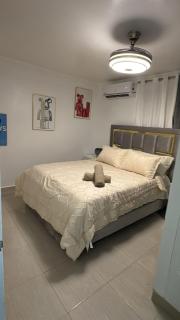 Spacious 3BR Getaway in Santiago - 9