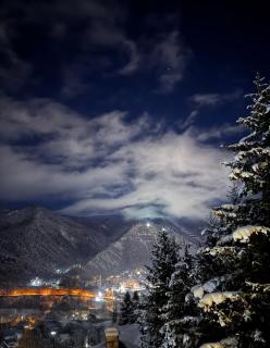 Hotel forest echo - Borjomi - 1