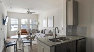 Landing Apartments - Bridge at Davenport Place - 5