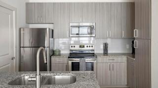 Landing Apartments - Bridge at Davenport Place - 4