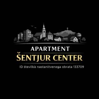 Apartment Šentjur center - 9