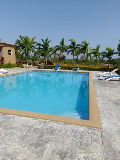 Serene Hideaway Guesthouse in Gated Stonebrook Manor - 6