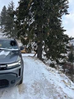 Virajlux - Dâmbovicioara - 8