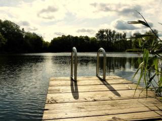 Ruhiges Zimmer zum Arbeiten oder Erholung mit Hund - 8