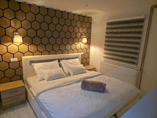 LUX Apartman Tara Pale Jahorina - 7