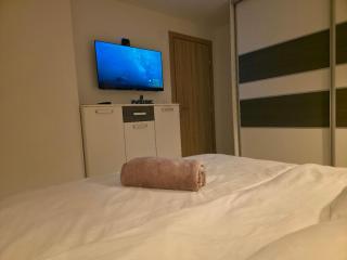 LUX Apartman Tara Pale Jahorina - 6