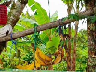 Gualimán Fortaleza de los Karas - 6