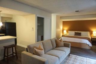 Cozy Studio Apartment - 3