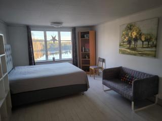 Embracing nature's Swedish house - 3