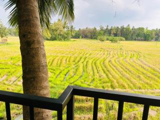 Man Guest Polonnaruwa - 1