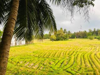 Man Guest Polonnaruwa - 2