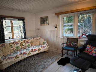 Embracing nature's Swedish house - 5