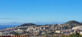 Madeira Studio Salvador Rental - 6