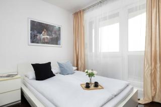 Comfy Air Conditioned Apartment with Balcony and City View - 9