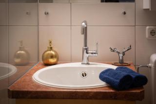 Dachstein Blick - Bad Goisern - 7