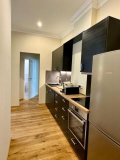 Luxusapartment im Zentrum Süd mit Stellplatz - Lipsia - 1