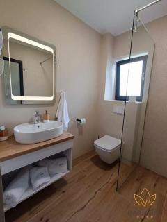 Pensiunea Harmony Băile Felix - 4