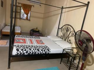 La reine du saloume - 3