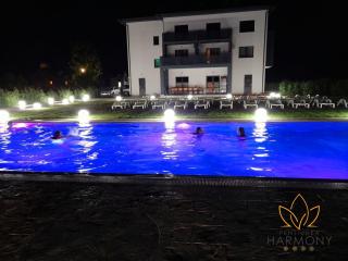 Pensiunea Harmony Băile Felix - 9