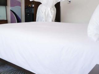 Novotel Abu Dhabi Gate - 5