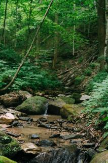 Creekside Oasis! - 9