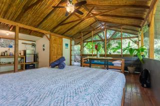 Private jungle “Loft del Rio” river access - 2