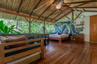 Private jungle “Loft del Rio” river access - 4