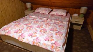 AVS Snagov Chalet - 7