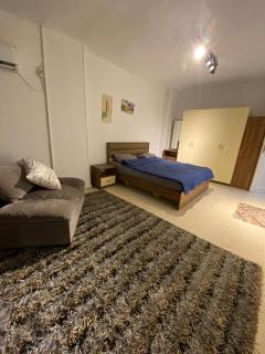 مدينة نصر عباس العقاد - 4