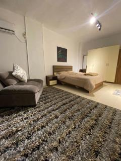 مدينة نصر عباس العقاد - 3