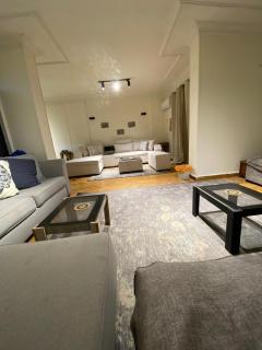 مدينة نصر عباس العقاد - 1