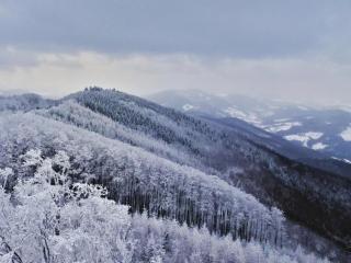 Wienerwaldblick - Mauerbach - 5