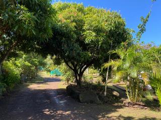 Pumakari Rapa Nui - 5