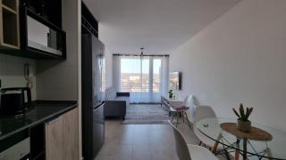 Cozy apartment in downtown Valdivia - 8